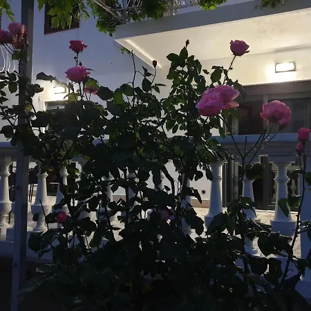 Apartmán Assato Retro *