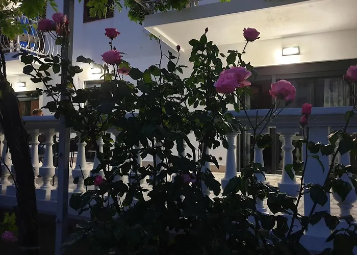 Apartman Assato Retro *